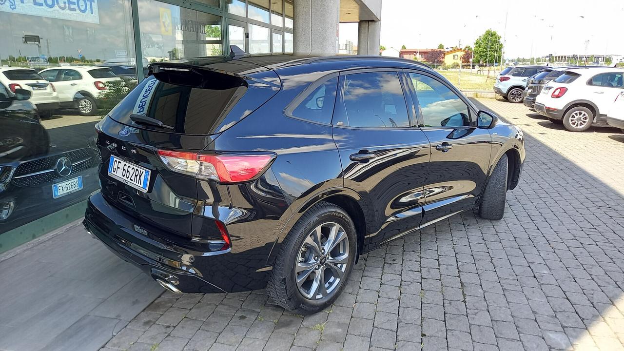 Ford Kuga 1.5 EcoBlue 120 CV aut. 2WD ST-Line