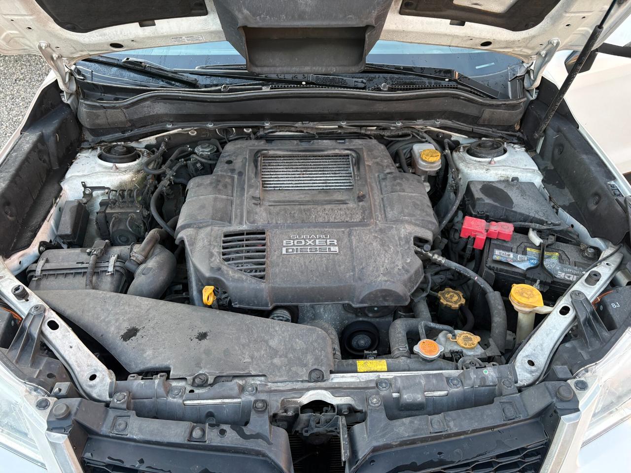 Subaru Forester 2.0D -AWD -Unico proprietario