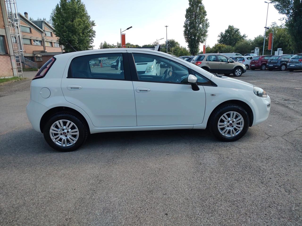Fiat Punto 1.4 8V 5 porte Natural Power Lounge, OK NEOPATENTATI, GARANZIA L.12 MESI