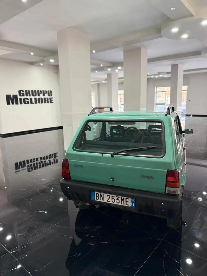 Fiat Panda 1100 i.e. cat Young