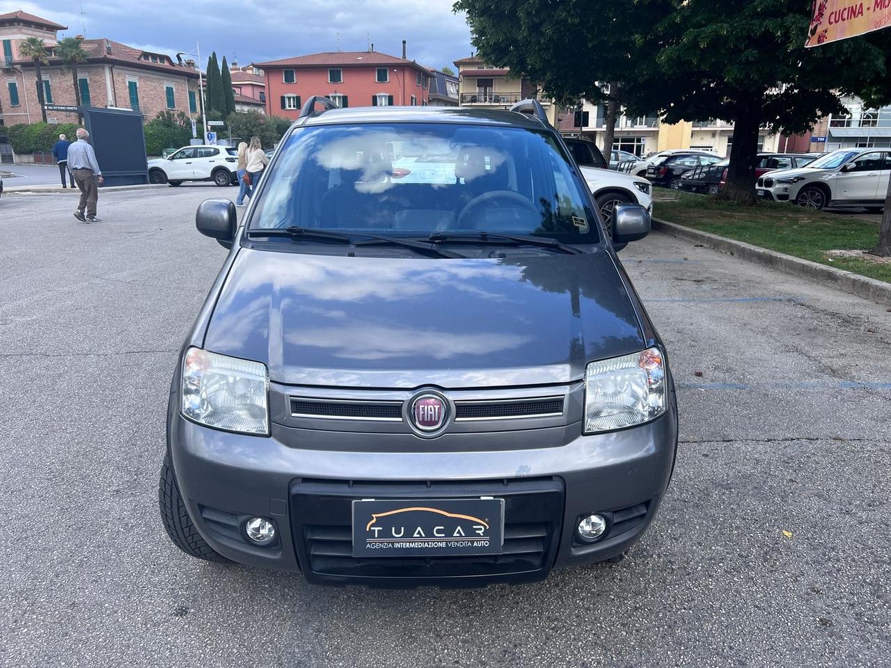 Fiat Panda 1.3 D Multijet DPF Climbing 4x4 #10794