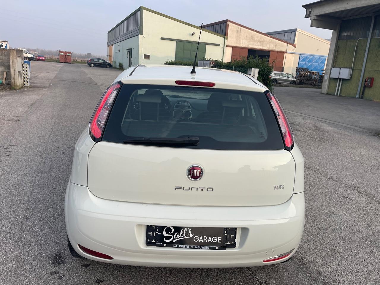 Fiat Punto Evo 1.2 NEOPATENTATI