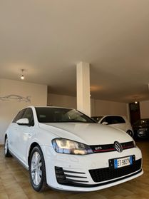 Volkswagen Golf GTI Golf GTI Performance 2.0 TSI 5p. BlueMotion Technology