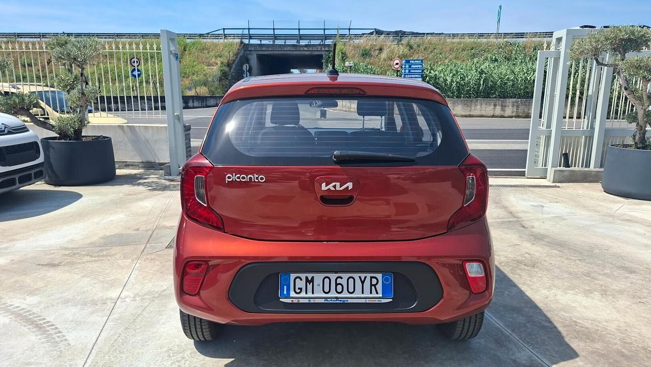 Kia Picanto 1.0 12V 5 porte 2023