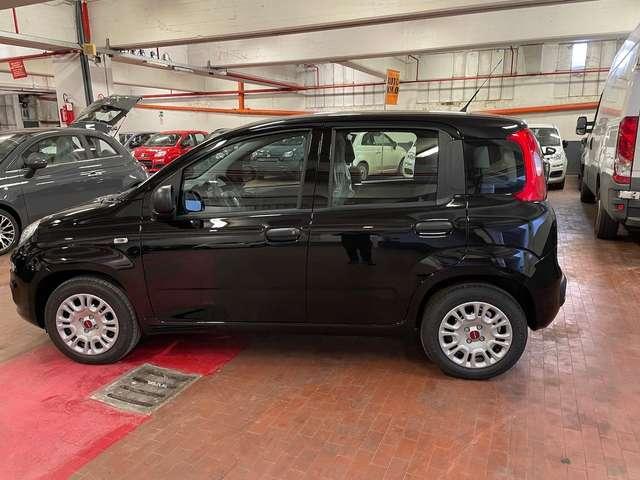 Fiat Panda 1.0 Hybrid 70cv 36 Rate da 177,95