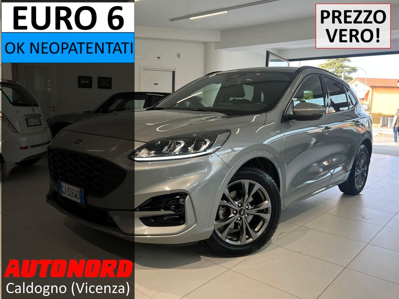 Ford Kuga 1.5 EcoBlue 120 CV 2WD ST-Line