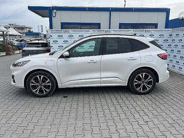 Ford Kuga 2.5 Plug In Hybrid 225 CV CVT 2WD ST-Line X