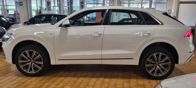 AUDI Q8 50 TDI quattro tiptronic Sport S LINE MHEV