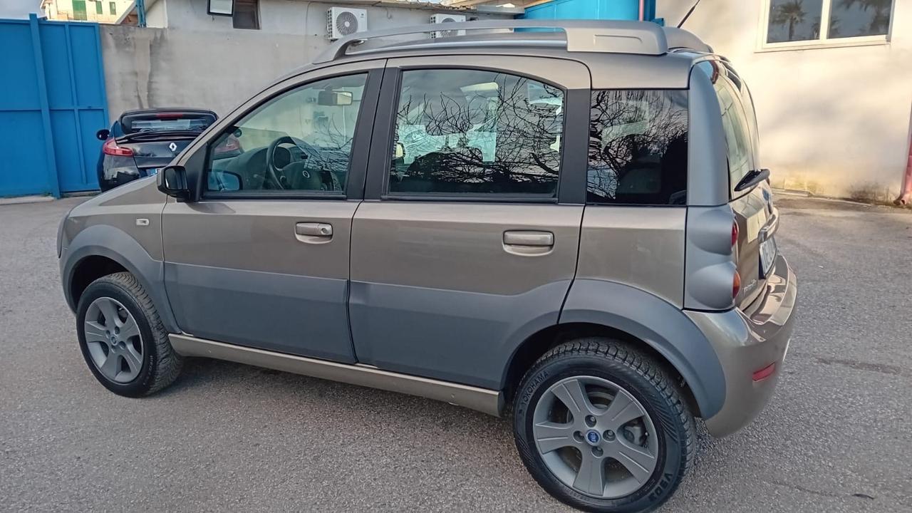 Fiat Panda cross 4 × 4-1.3 mjt-2007