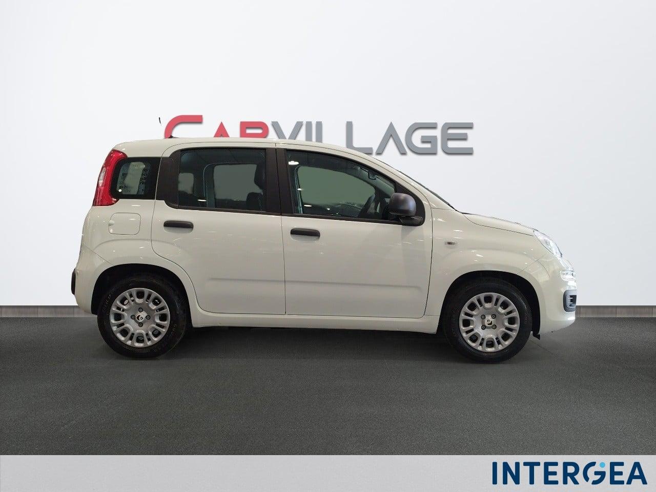 FIAT Pandina 1.0 firefly hybrid Icon s&s 65cv 4p.ti