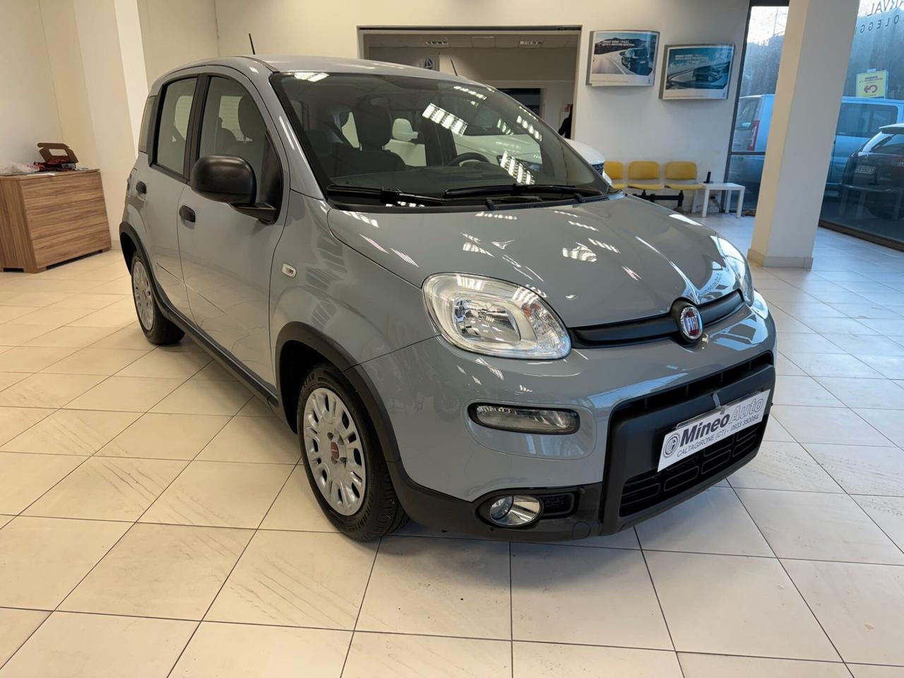 Fiat Panda 1.0 FireFly S&S Hybrid