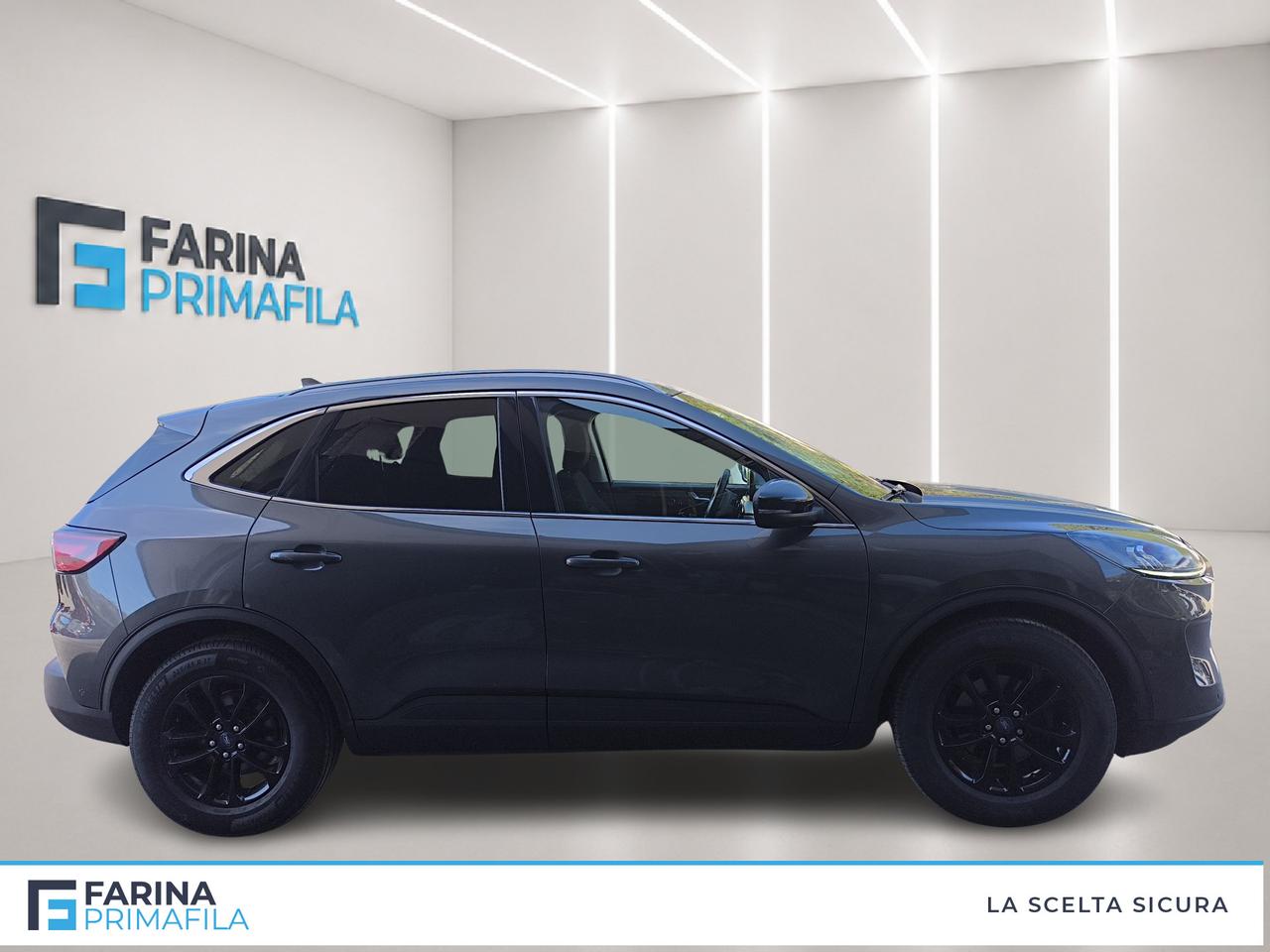 FORD Kuga III 2020 - Kuga 1.5 ecoblue Titanium Business 2wd 120cv