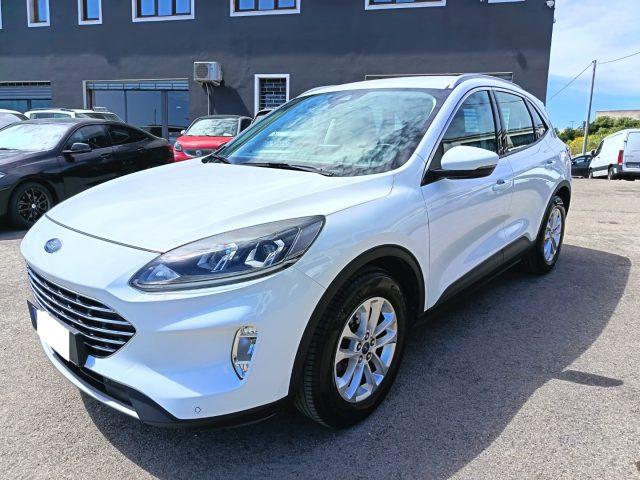 FORD Kuga 1.5 EcoBlue 120 CV aut. 2WD Titanium Business