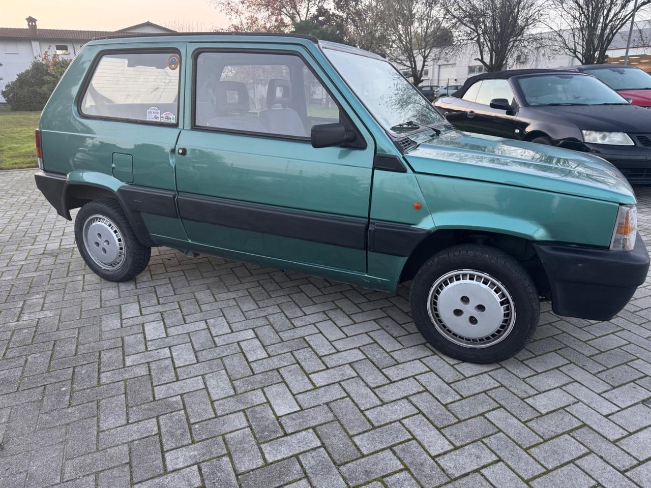 Fiat Panda 1100 i.e. cat Young