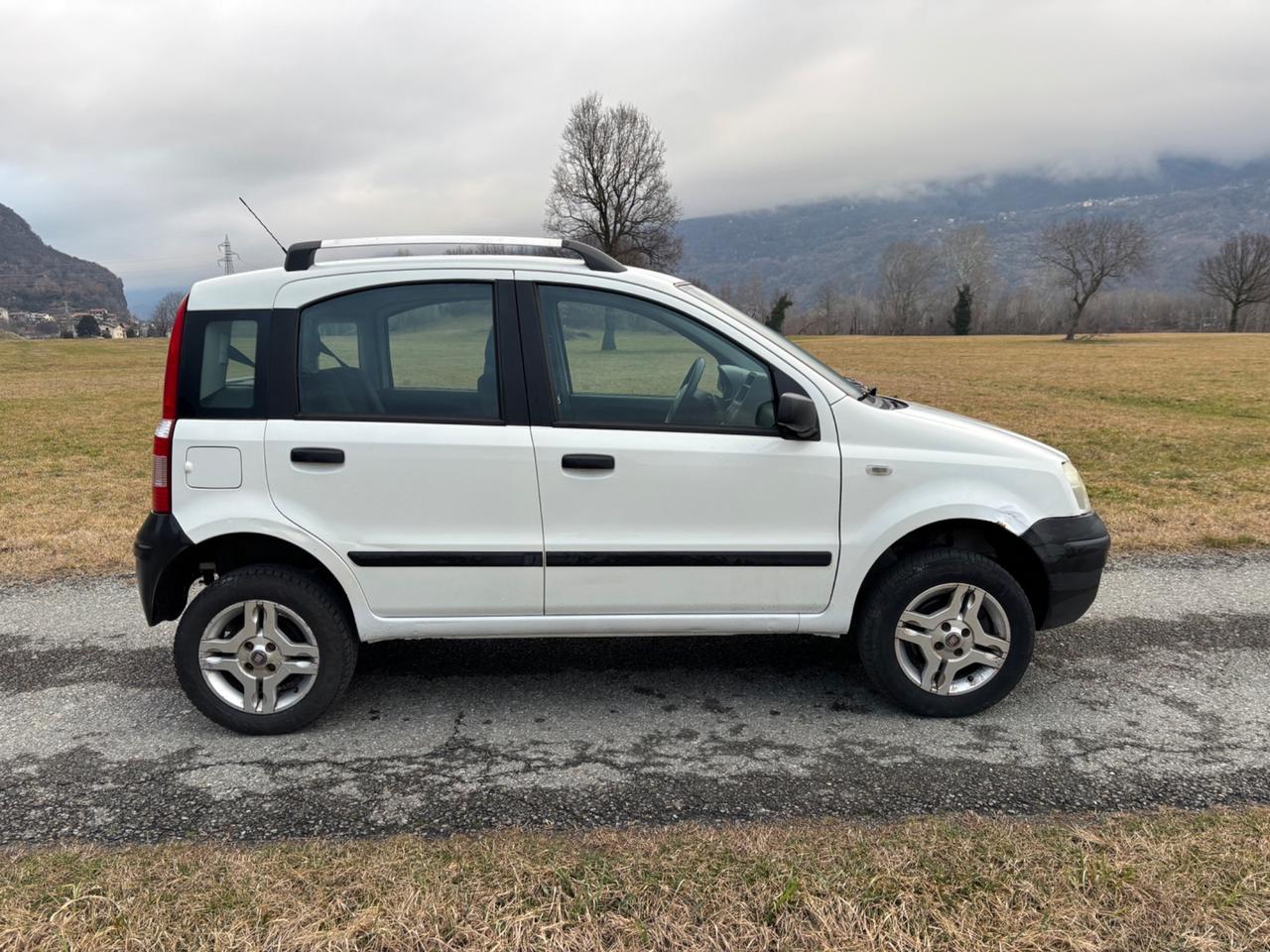 Fiat Panda 1.3 MJT 4x4 turbodiesel meccanica perfetta catena distribuzione sostituita da poco