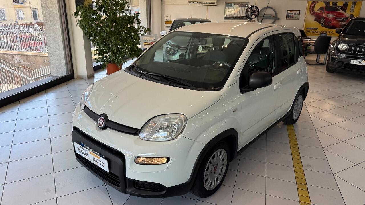 Fiat Panda 1.0 FireFly S&S Hybrid City Life