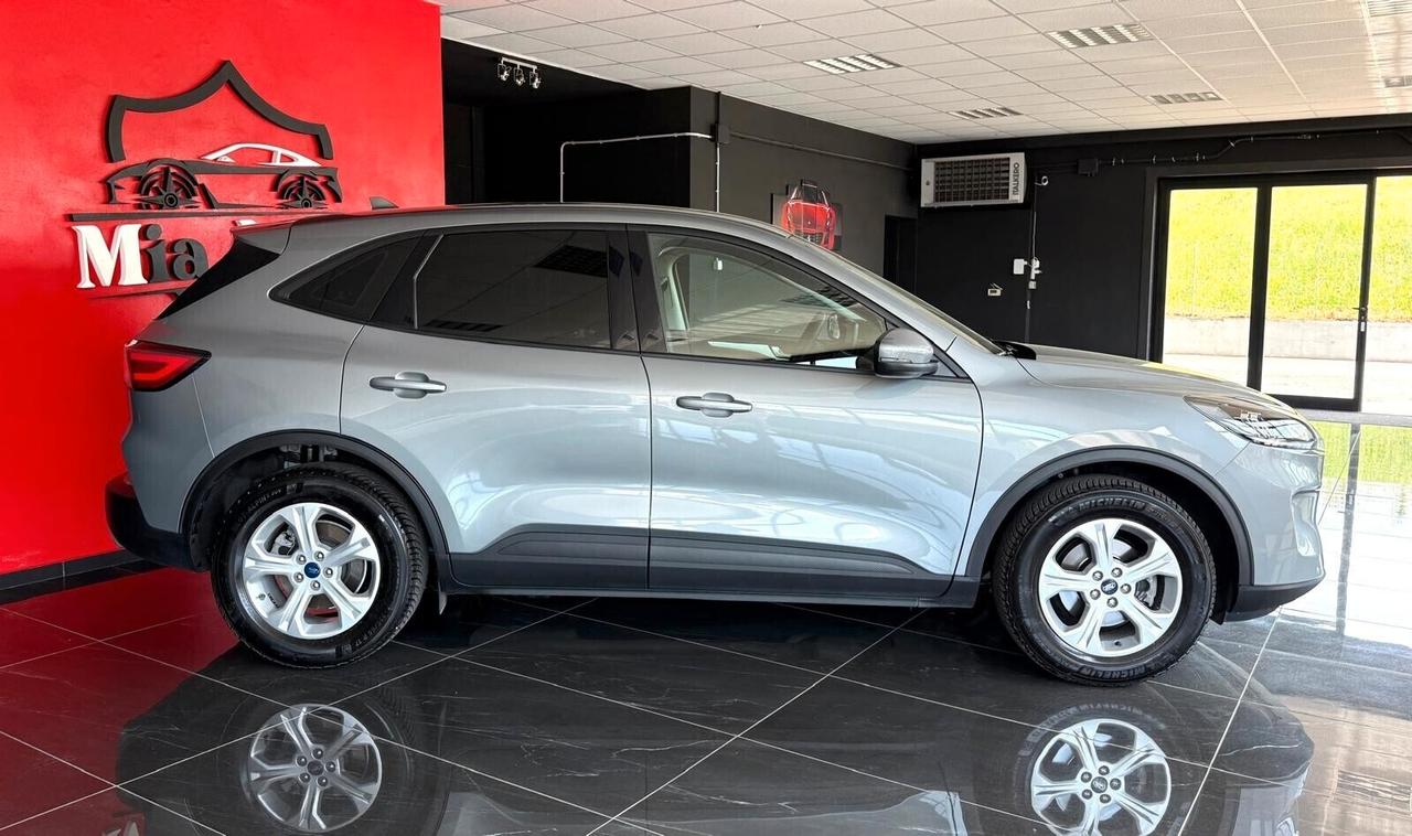 Ford Kuga 1.5 EcoBlue 120 CV aut. 2WD Titanium Business