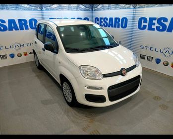 FIAT New Panda 1.0 firefly hybrid s&s 70cv 5p.ti-RADIO BLUETOOTH
