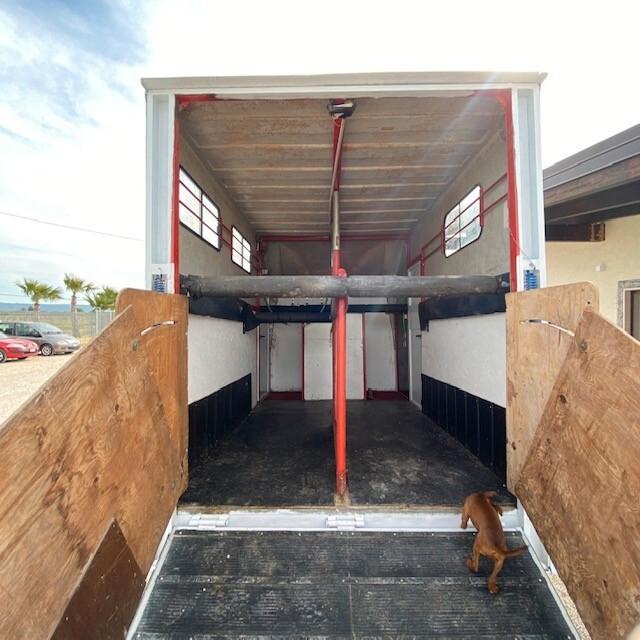 Fiat daily trasporto cavalli 2 posti PATENTE B