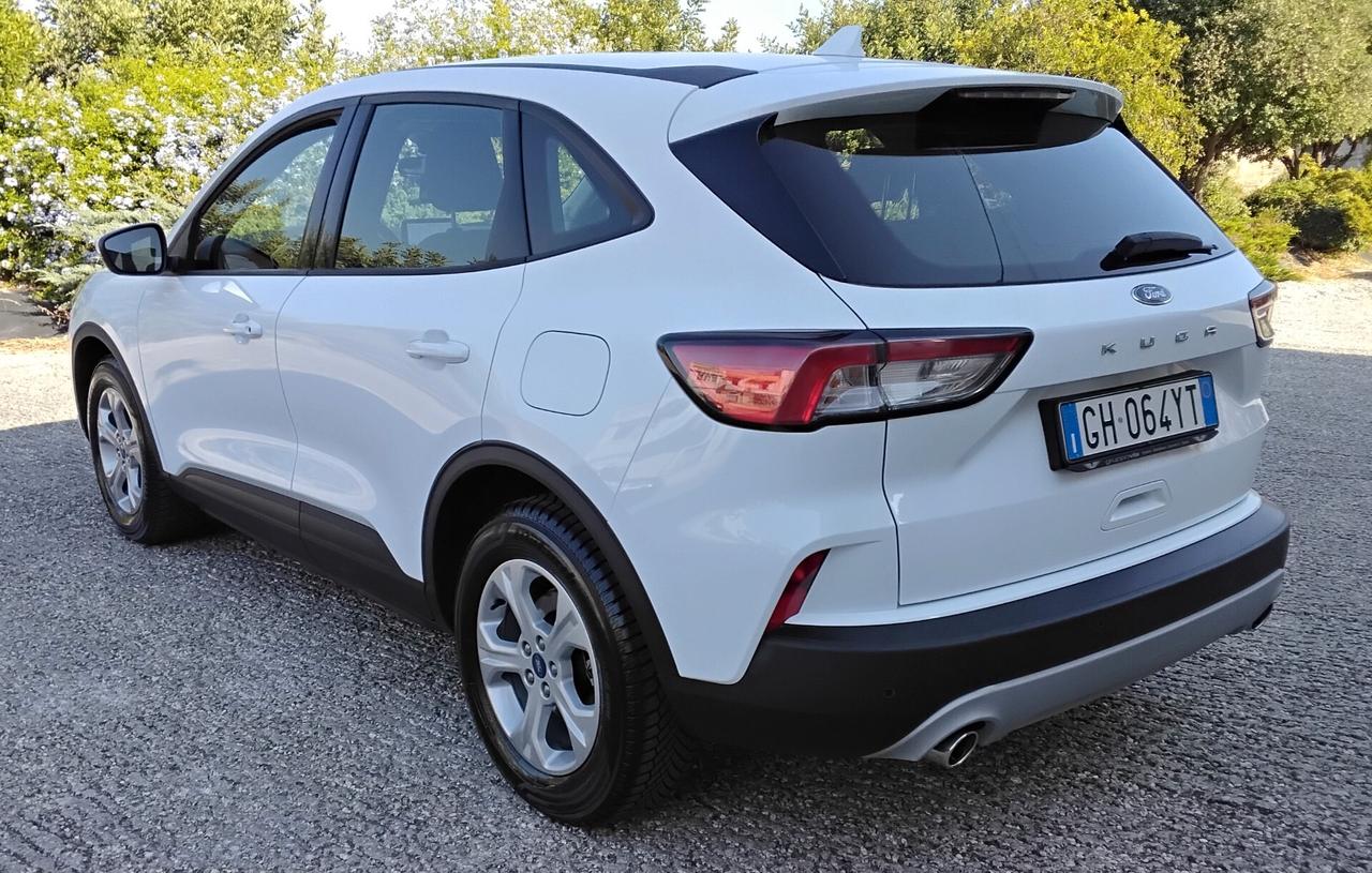 Ford Kuga 1.5 EcoBlue 120 CV aut. 2WD Titanium Business