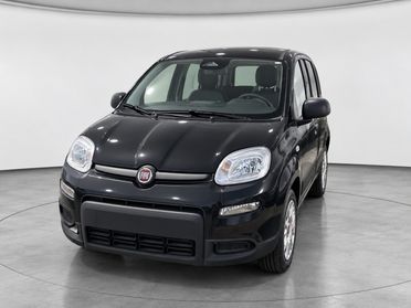FIAT NUOVA Panda 3ª serie - Panda 1.0 FireFly S&S Hybrid