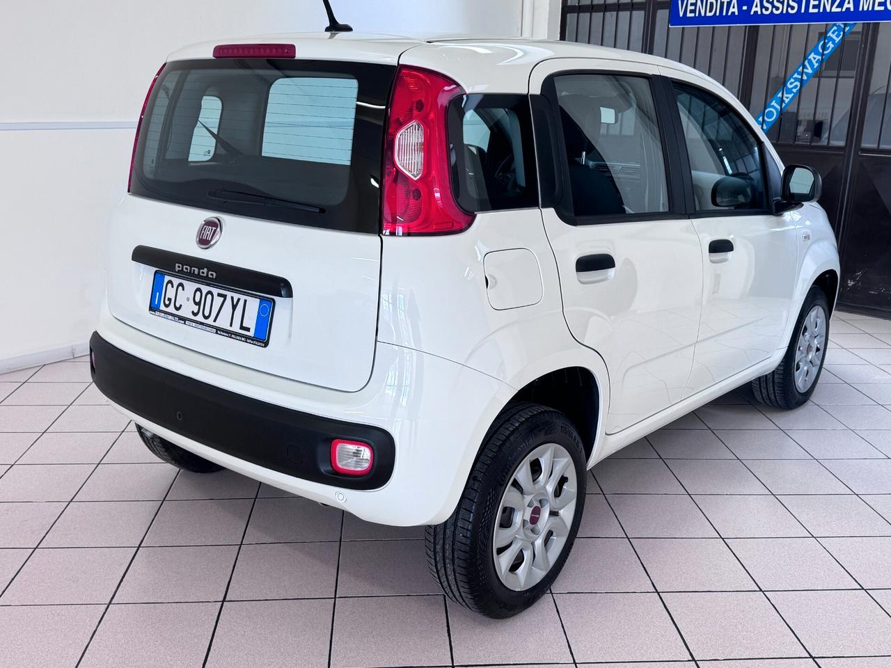 BELLISSIMA Fiat Panda METANO - 2020 - KM 64.000