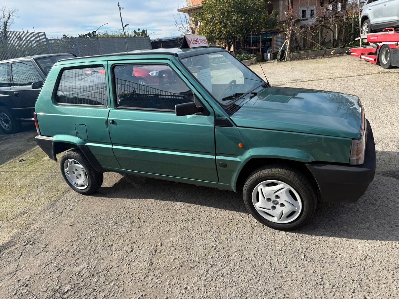 Fiat Panda 1100 i.e. cat Young