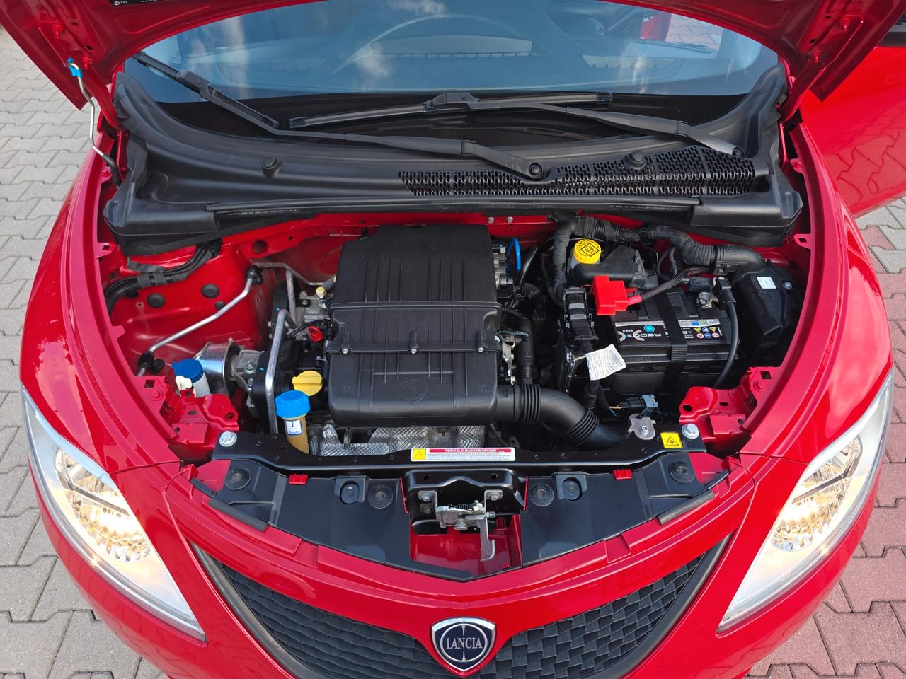 Lancia Ypsilon 1.2 69CV perfetta e garantita 12M