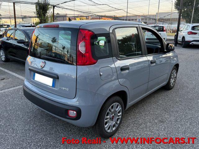 FIAT Panda Hybrid 1.0 FireFly 70 cv - PROMO