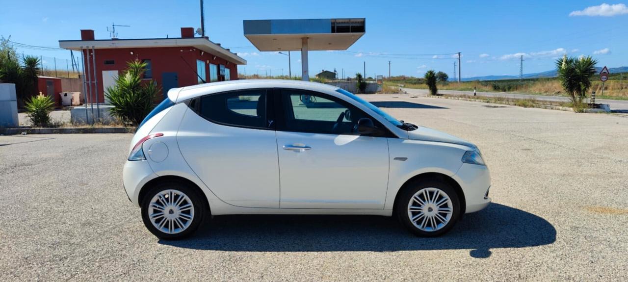 Lancia Ypsilon 1.3 MJT 16V 95 CV 5 porte S&S Platinum
