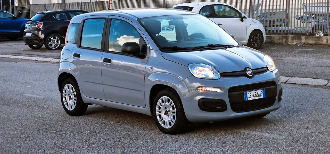 Fiat PANDA 1.0 FireFly 70cv S&S Hybrid