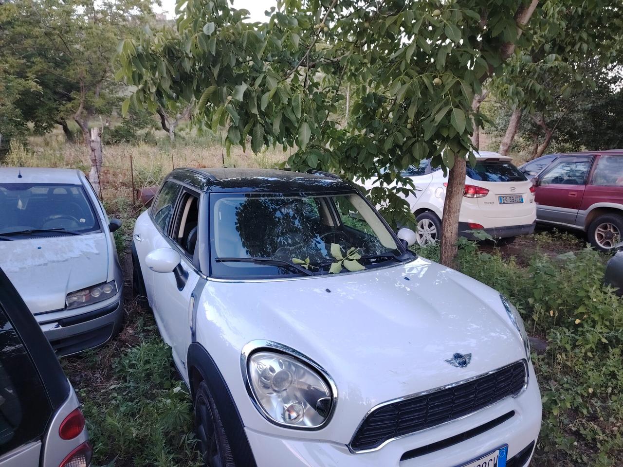 Mini Cooper SD Countryman Mini 2.0 Cooper D Countryman ALL4 Automatica