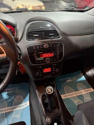 Fiat Punto Benzina Km 44.000 Neopatentati