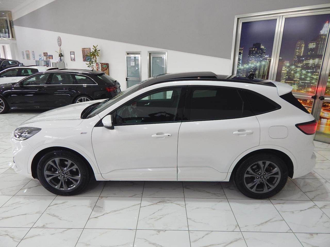 Ford Kuga 1.5 ecoblue ST-Line 2wd 120cv Aut. TETTO-NAVI-LED