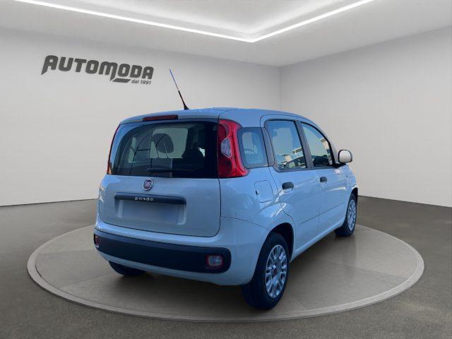 FIAT Panda 1.2 Easy GPL 69CV