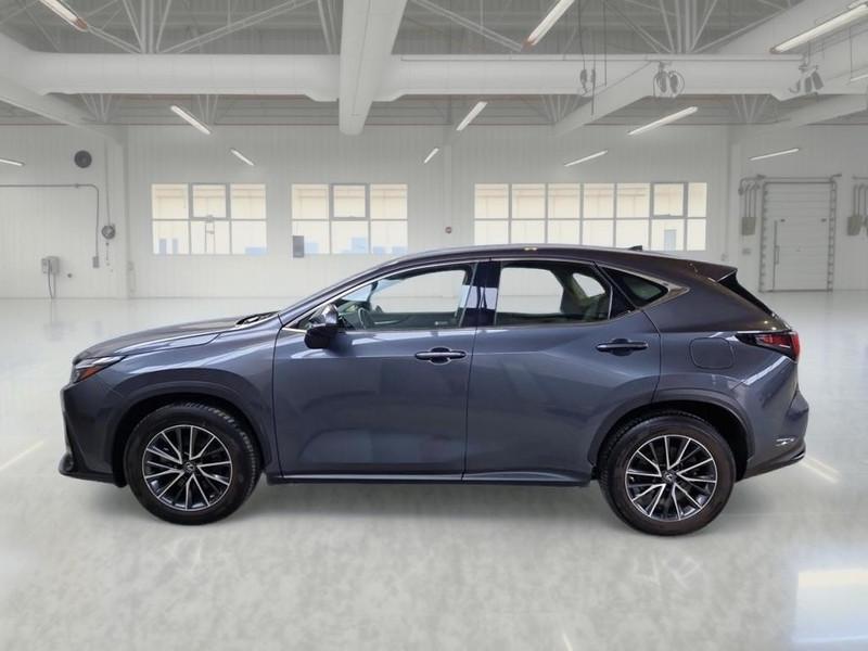 LEXUS NX 350H Hybrid Business 2WD my22