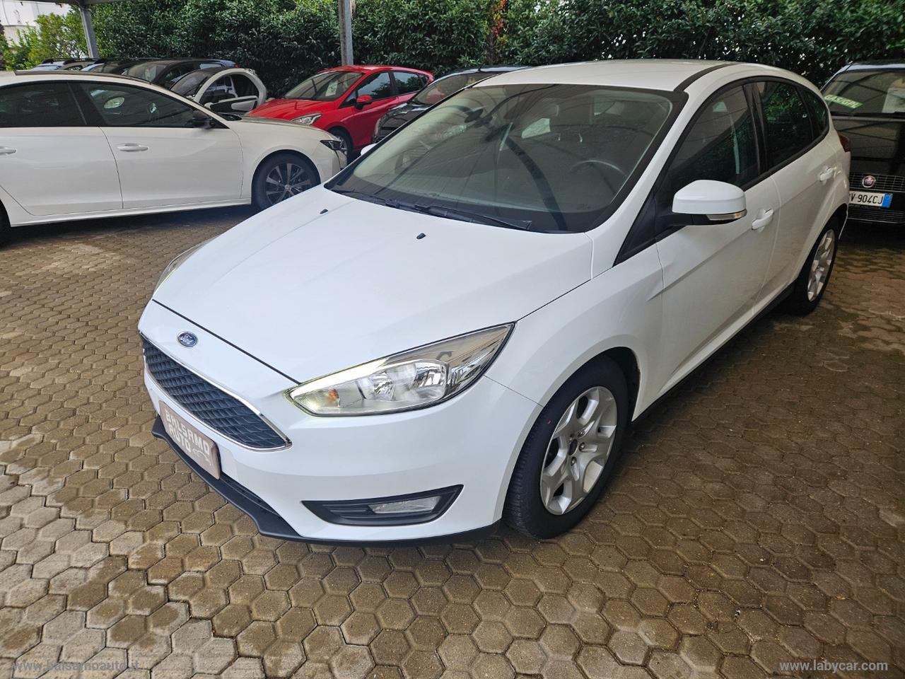 FORD Focus 1.0 EcoBoost 100 CV S&S Business
