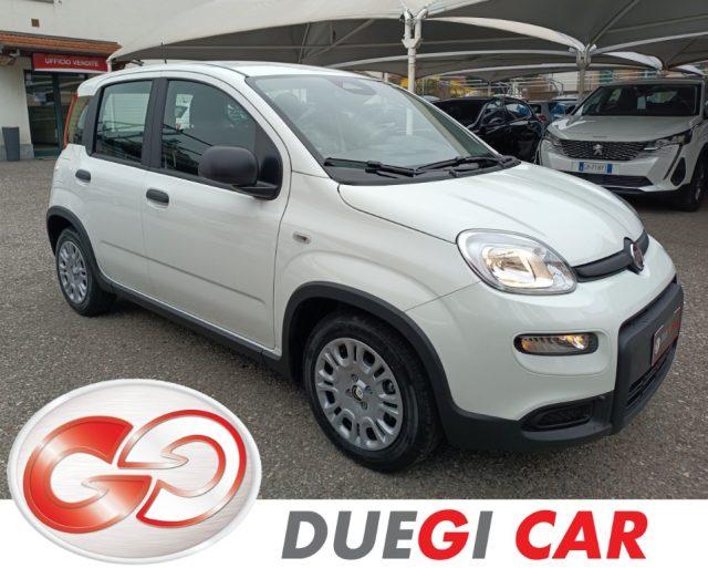 FIAT Panda 1.0 FireFly S&S Hybrid Pandina