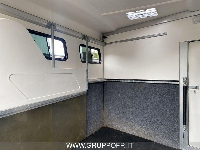 Trailer Steinsberger Steinsberger TRASPORTO CAVALLI