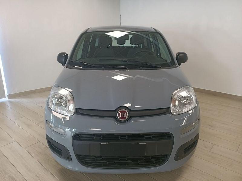 FIAT Panda 3ª serie 1.0 FireFly S&S Hybrid