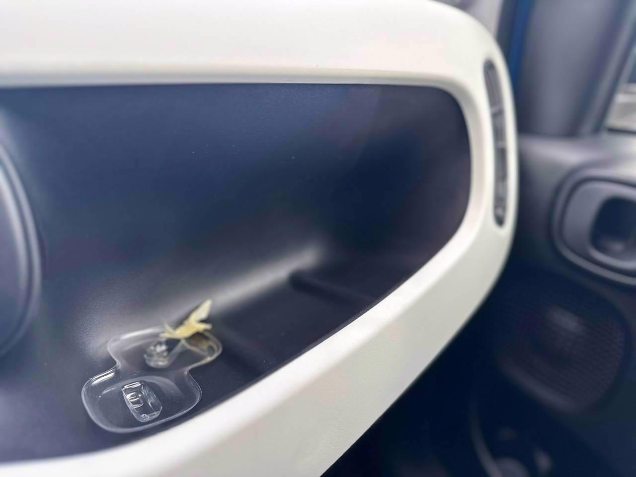 FIAT Pandina III 2024 Cross - Pandina Cross 1.0 firefly hybrid s&s 70cv