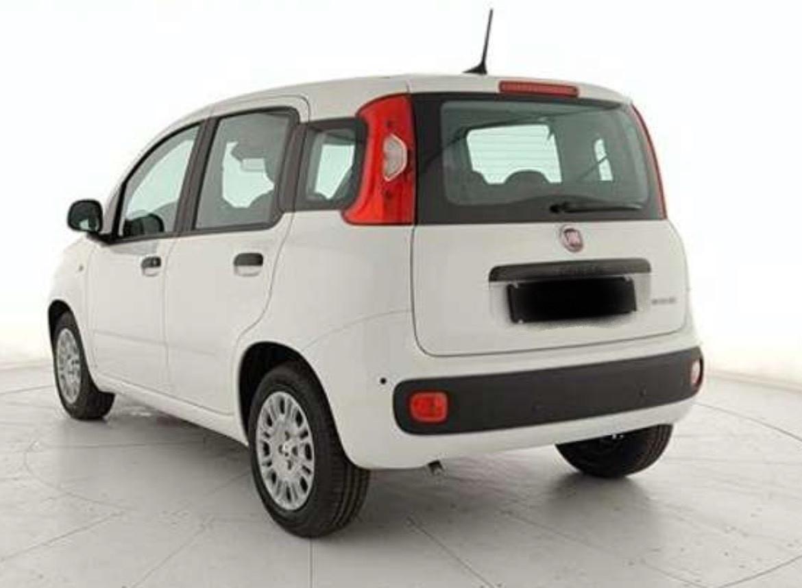 Fiat Panda 1.0 Fire Hybrid NOLEGGIO