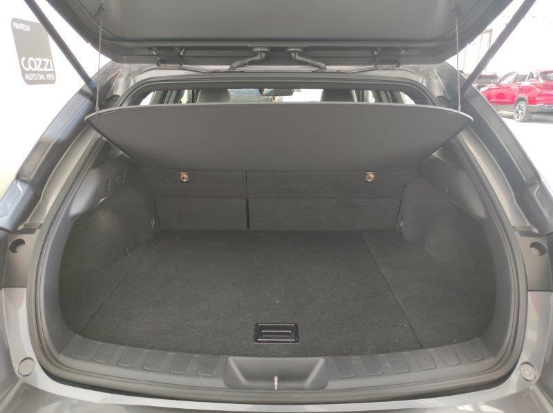 LEXUS UX - UX Hybrid Business