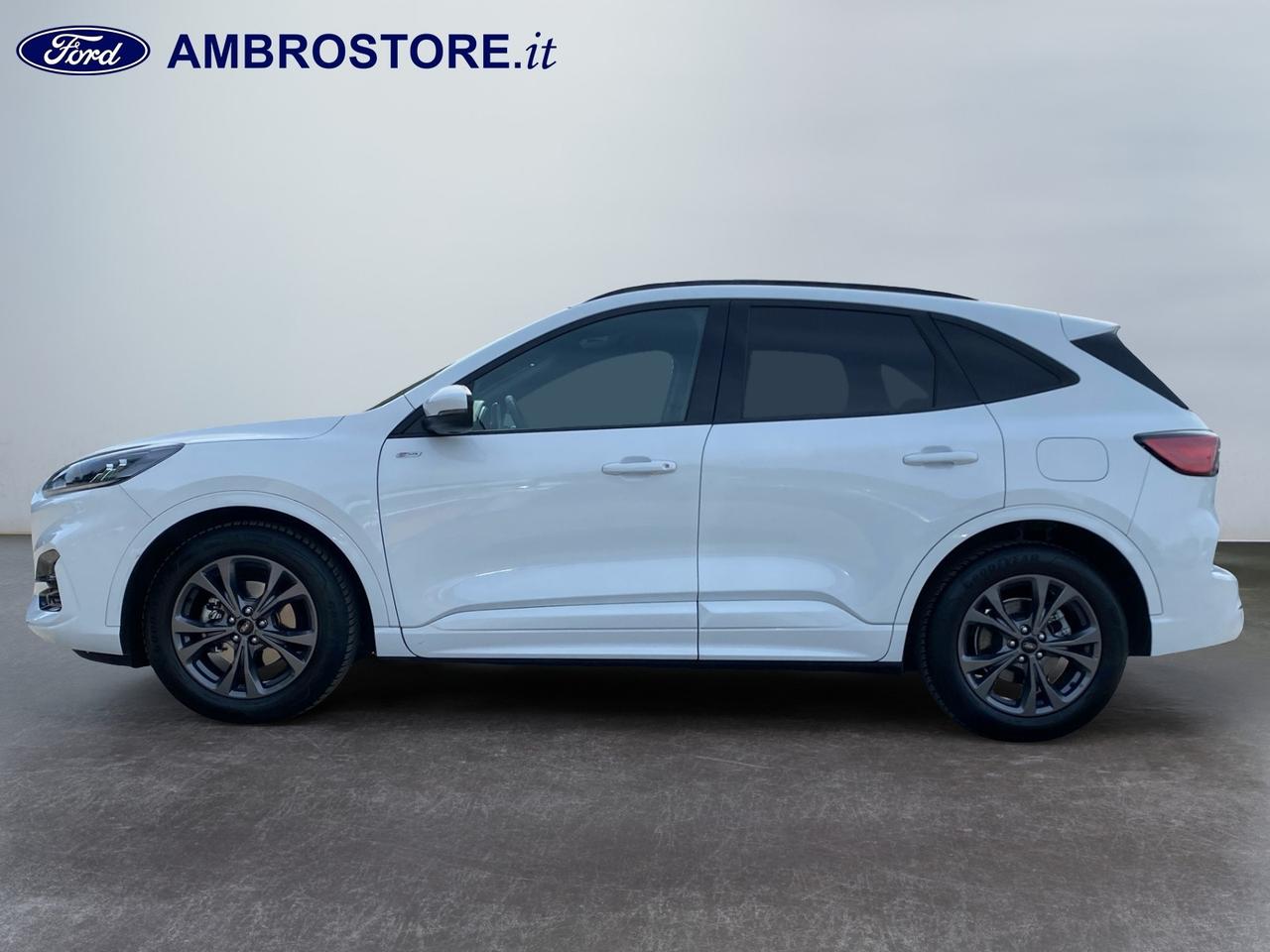 FORD Kuga III 2020 - Kuga 2.0 ecoblue ST-Line X Design 2wd 120cv