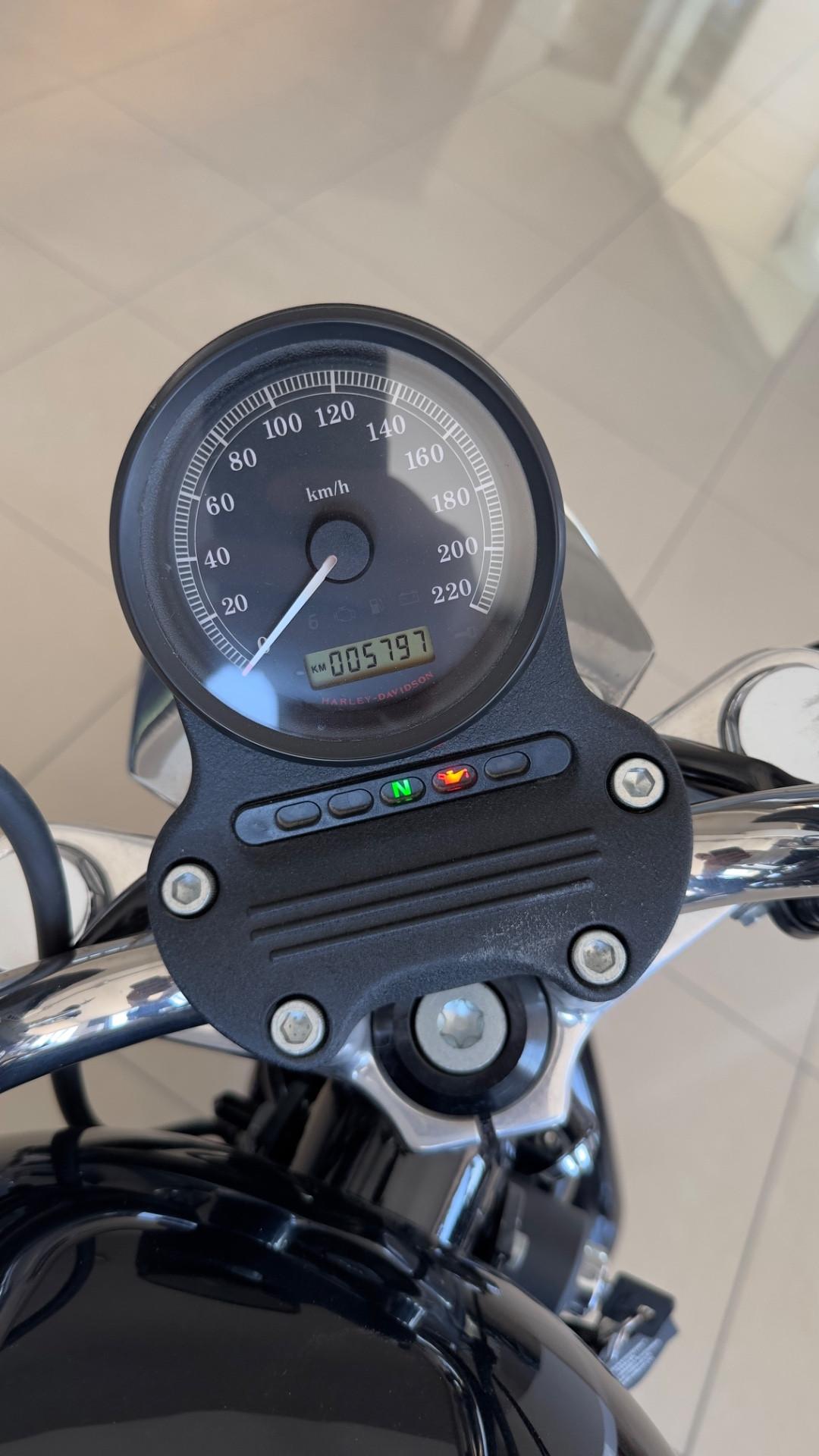 Harley-davidson XL 883