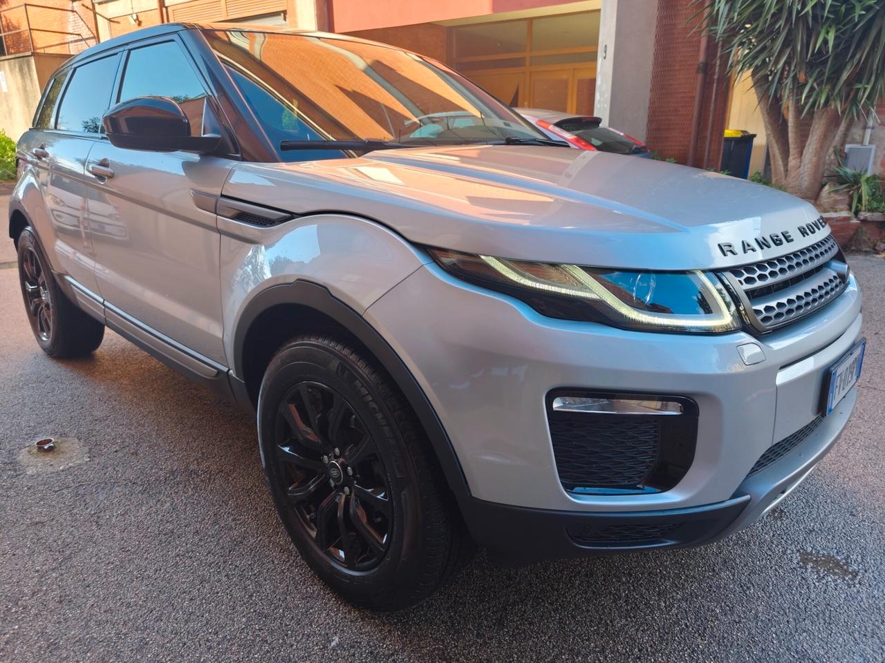 Land Rover Range Evoque 2.0 TD4 150 CV 5p. Business Edition Pure