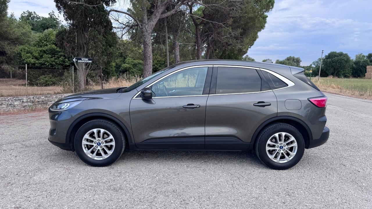 Ford Kuga 1.5 EcoBlue 120 CV 2WD Titanium X