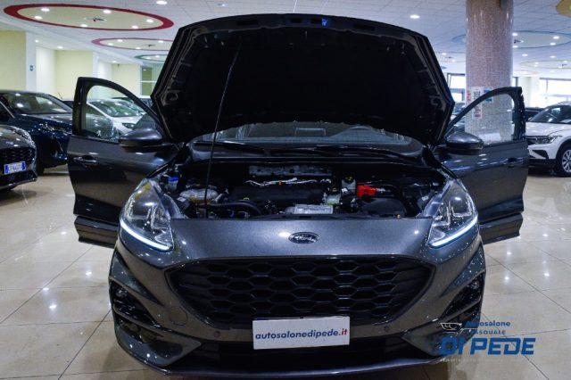 FORD Kuga 1.5 EcoBlue 120 CV 2WD ST-Line