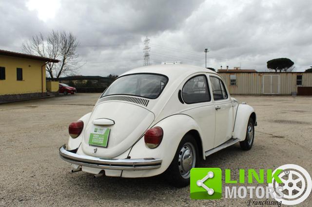 VOLKSWAGEN Maggiolone 13 D1 / Targata Roma / Matching Numbers
