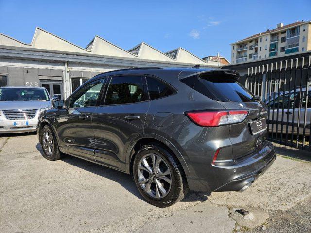 FORD Kuga 1.5 EcoBlue 120 CV 2WD ST-Line
